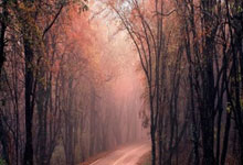 MK体育:101分钟绝平!世预赛伊拉克补时阶段连进两球,2-2战平科威特.