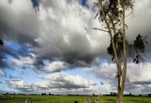 MK体育:马特乌斯:多特还要客战拜仁、药厂,他们将无缘下赛季欧冠.