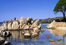 MK体育：切尔西1-0热刺，凯塞多进球被吹，帕尔默无敌妙传，恩佐惊艳破门.